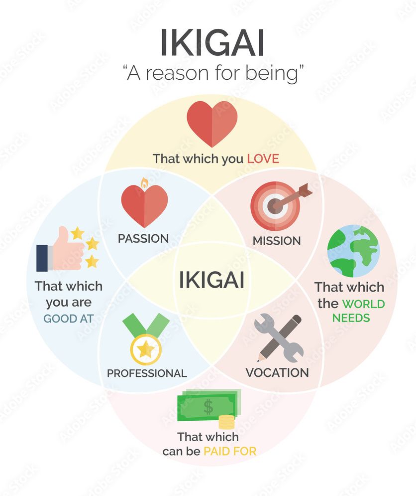 FIND YOUR IKIGAI....REASON FOR BEING